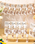 30 Pack Bear Baby Shower Party Bags