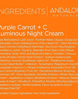 Andalou Natural Purple Carrot + C Luminous Night Cream, Purple Carrot Plus C Luminous, 1.7 Ounce