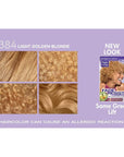 SoftSheen-Carson Dark and Lovely Fade Resist Rich Conditioning Hair Color, Permanent Hair Color, Up To 100 percent Gray Coverage, Brilliant Shine with Argan Oil and Vitamin E, Light Golden Blonde