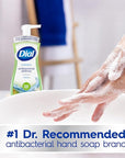 Dial Antibacterial Foaming Hand Wash, Fresh Pear, 7.5 fl oz Pack of 6)