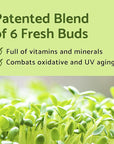 iUNIK Centella Mini Set Travel-Friendly Skincare calming