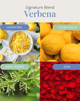 Verbena Aroma Oil, Essential Oils Blend for Diffusers & Scent Machines, Citrus, Floral, and Green Fragrance, Aromatherapy, Cold Air Diffuser Compatible, 300 mL