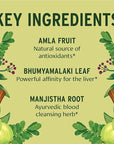 Banyan Botanicals Total Body Cleanse – Organic Cleanse Supplement with Amla & Manjistha – Supports Healthy Digestion, Detox, & Natural Cleansing* – 90 Tablets – Non GMO Sustainably Sourced Vegan