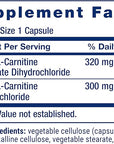 Life Extension Acetyl-L-Carnitine Arginate, Advanced Brain & Nerve Health, Cellular Energy Support, Gluten-Free, Non-GMO, 90 Capsules