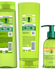 Garnier Fructis Sleek & Shine Shampoo, Conditioner + Anti-Frizz Serum Set for Frizzy, Dry Hair, Argan Oil (3 Items), 1 Kit (Packaging May Vary)