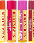 Burt's Bees Holiday Gift, 4 Lip Watermelon