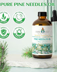 EVOKE OCCU Pine Essential Oil for Diffuser, Fresh Pine Scent for Aromatherapy, Skin, Hair Care, Soap & Candle Making - 4 Fl Oz