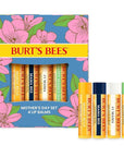 Burt's Bees Gifts Ideas - Balm Bouquet Lip Balm Set, Original Beeswax, Vanilla Bean, Cucumber Mint, Coconut & Pear Pack, Natural Origin Lip Treatment, 4 Tubes, 0.15 oz.