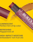 Burt's Bees Shimmer Lip Tint Set,
