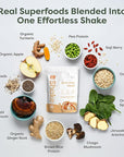 310 Nutrition All-In-One Meal Replacement Shake Powder - Plant-Based Protein Smoothie Blend w/High Fiber, Probiotics & Adaptogens - Low Carb, Vegan, Keto & Paleo Friendly - Caramel Sundae - 14 Srv