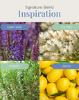 Inspiration Aroma Oil, Essential Oils Blend for Diffusers & Scent Machines, Zesty Citrus & Blooming Florals, Aromatherapy, Cold Air Diffuser Compatible, 300 mL
