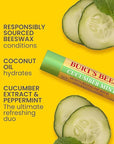 Burt's Bees Lip Balm - Original