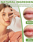 Honey Pot Lip Balm,3PCS Bee Lip (Honey+Apple+Cherry)