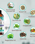 GuruNanda CocoMint Oil Pulling Mouthwash for Complete Oral Hygiene, 7 Essential Oils & Vitamins for Happy Teeth & Gums & Fresh Breath, Alcohol-Free, 16 oz