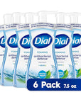 Dial Antibacterial Foaming Hand Wash, Spring Water, 7.5 fl oz (Pack of 6)