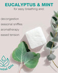 Shower Steamers Eucalyptus for Shower - Mothers Day Gifts for Her, Aromatherapy Gift for Men