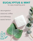 Shower Steamers Eucalyptus for Shower - Mothers Day Gifts for Her, Aromatherapy Gift for Men