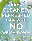 Garnier Whole Blends Coconut Water & Aloe Vera Refreshing Conditioner for Normal Hair, 26.6 Fl Oz, 1 Count (Packaging May Vary) (Pack of 2)