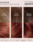 Clairol ColorStrong Permanent Zero Ammonia Hair Dye, 6.4 Light Copper Brown - Red Desert Hair Color, Pack of 1