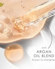 Dove Conditioner Argan Oil & Repair for Fine Hair with Bio-Protein Care Technology and Argan Oil Blend 12 Fl Oz