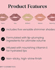 BFY Cosmetics 5-Pack Plumping Lip Gloss - Shimmer
