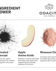 Odacité Facial Cleanser with Foam - Black Mint Activated Charcoal & Rhassoul Clay Glow Recipe - Facial Moisturizer with Deep Cleanse for Gentle Face Wash to Remove Dirt & Oil, 3.38 fl. oz.