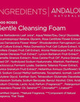 Andalou Naturals 1000 ROSES Gentle Cleansing Foam Face Wash, Hydrating Foaming Facial Cleanser with Rosewater & Aloe for Women & Men, Non Toxic, Vegan