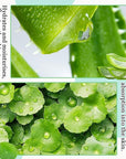 4PCS Aloe Vera Gel Moisturizer for Face,Hydrating Fast Absorbing Face Moisturizer After Sun Care,Moisturizing Long Lasting Non-Sticky Travel Size Aloe Vera Gel for Sunburn Relief
