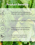 Green Salvia Gentle Feminine Wash -