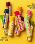 Burt's Bees Lip Balm, Lip Moisturizer With Responsibly Sourced Beeswax, with Vitamin E & Peppermint Oil, Natural Origin Moisturizing Care, 1 Tube, 0.15 oz.