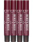 Burt's Bees Shimmer Lip Tint Set,