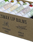 36-Pack Bulk Lip Balm Gift Set