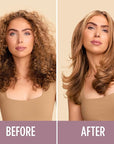 Shark HT202 SmoothStyle Heated Comb + Blow Dryer Brush, Dual Mode, for All Hair Types, Silk