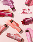 Burt's Bees Lip Tint Balm with Long Lasting 2 in 1 Duo Tinted Balm Formula, Color Infused with Deeply Hydrating Shea Butter for a Natural Looking Buildable Finish, Soft Hibiscus (2-Pack)