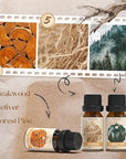 Woody Essential Oils Set, Fragrance Oil Set for Diffuser, Scent Diffuser Oil for Candle Making- Sandalwood, Cedar, Bamboo, Teak, Vetiver, Forest Pine