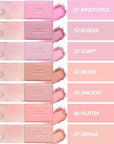 HOLIKA HOLIKA Infusing Blush with Brush - Lightweight,