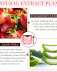 12 Pcs Bee Lip Balm Honey