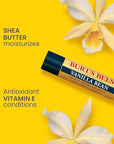 Burt's Bees Lip Balm - Vanilla
