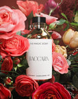 The Magic Scent Baccara Diffuser Oil - Hotel & Home Luxury Scents Inspired by Baccarat Rouge - Diffuser Oil Scents for Home Designed for Use in All Diffusers - 16.9 fl oz, 500 mL