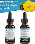 Lung Detox Respiratory Health Drops - Organic Respiratory Supplements Herbal Lung Cleanse, Mullein Drops for Lungs Bronchial Support, Mucus Clear with Mullein Leaf Extract, Elderberry Supplement 1 oz