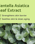 iUNIK Centella Mini Set Travel-Friendly Skincare calming