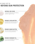 Raw Element Ultra-Moisturizing Tinted Face Cream, Non Toxic 1.8 oz