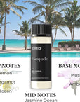 Scentia Hotel Inspired Collection Diffuser Oils – 3×20ml Aromatherapy Set | Luxury Scents Inspired by 5-Star Hotels | Gift-Ready Essential Oil Blend - Thanksgiving & Holiday Gift