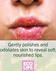 Eco Lips Brown Sugar Lip Scrub 2 Pack - 100% Organic Lip Care Treatment with Organic Sugar and Coconut Oil - Gently Exfoliate and Polish Dry, Flaky Lips, 0.50 oz jars