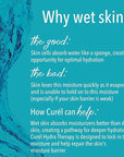 Curel Hydra Therapy Itch Defense Moisturizer and Body Wash Set, Wet Skin Lotion + Curel Itch Defense Calming Daily Cleanser, Body Wash, for Dry, Itchy Skin, 12 oz & 10 oz, Pack of 2