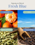 Fresh Blue Aroma Oil, Essential Oils Blend for Diffusers & Scent Machines, Mandarin, Ozone & Cardamom Blend, Aromatherapy, Cold Air Diffuser Compatible, 300 mL