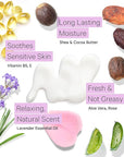 Tree to Tub Shea Butter Hand Cream for Dry Cracked Hands - Moisturizing Sensitive Skin Hand Lotion for Women & Men, Non-Greasy Vegan Hand Moisturizer w/Organic Cocoa, Aloe Vera, All Natural Lavender