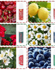 36 Pcs Lip Balm Bulk Easter Moisturizing