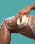 Spongeables Anti Cellulite Body Wash in a 20+ Wash Sponge, Citrus, 1 Count