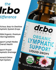 Lymphatic Drainage Supplements Drops - Organic Lymphatic Support Liquid Drops Cleanse with Echinacea for Lymph System Support Supplement, Lymph Node Detox Lymphatic System Drainage - 1oz Vegan Non-GMO